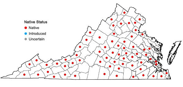 Locations ofArrhenopterum heterostichum Hedwig in Virginia