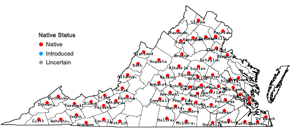 Locations ofArrhenopterum heterostichum Hedwig in Virginia