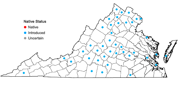 Locations ofArtemisia annua L. in Virginia