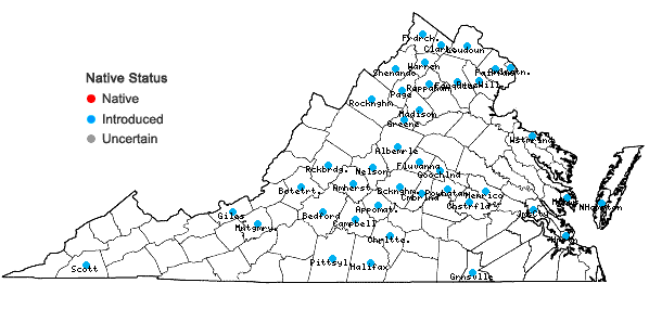 Locations ofArtemisia annua L. in Virginia