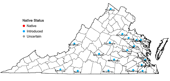 Locations ofArtemisia ludoviciana Nutt. ssp. ludoviciana in Virginia