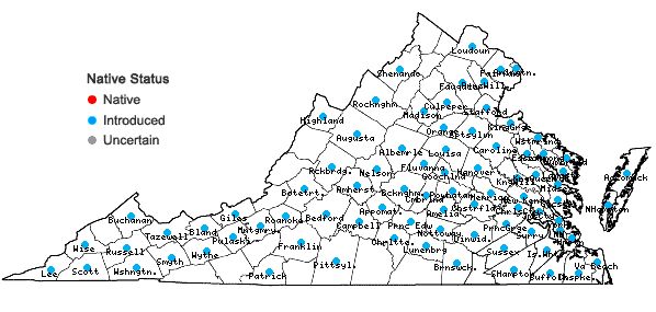 Locations ofArtemisia vulgaris L. var. vulgaris in Virginia