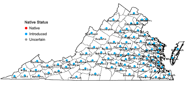 Locations ofArtemisia vulgaris L.  in Virginia