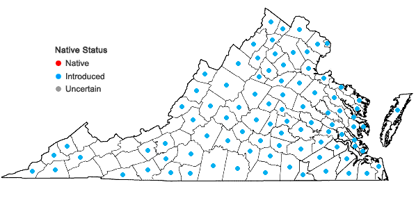 Locations ofArthraxon hispidus (Thunb.) Makino var. hispidus in Virginia