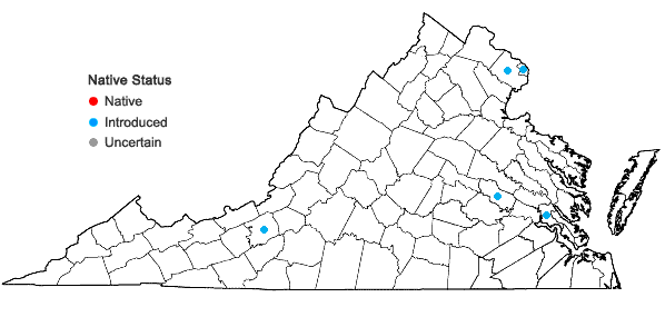 Locations ofArum italicum P. Miller in Virginia
