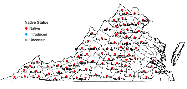Locations ofAruncus dioicus (Walt.) Fernald in Virginia