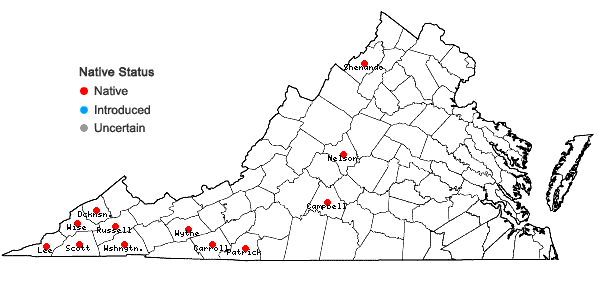 Locations ofArundinaria gigantea (Walt.) Muhl. in Virginia