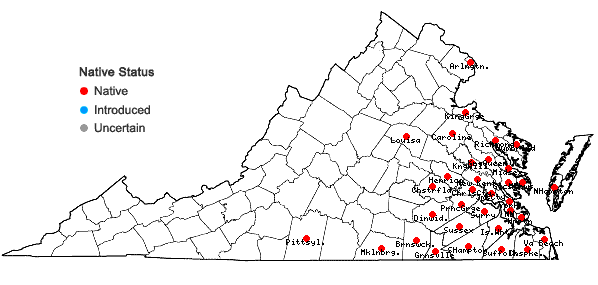 Locations ofArundinaria tecta (Walt.) Muhl. in Virginia