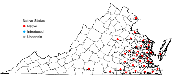 Locations ofArundinaria tecta (Walt.) Muhl. in Virginia