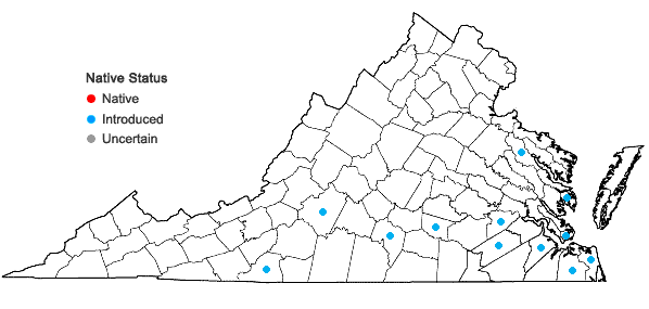 Locations ofArundo donax L. in Virginia