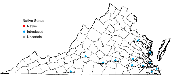 Locations ofArundo donax L. in Virginia