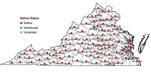 Locations ofAsarum canadense L. in Virginia