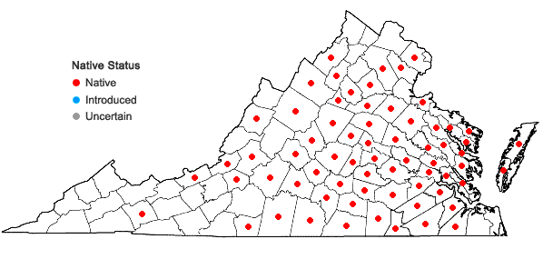 Locations ofAsclepias amplexicaulis J.E. Smith in Virginia