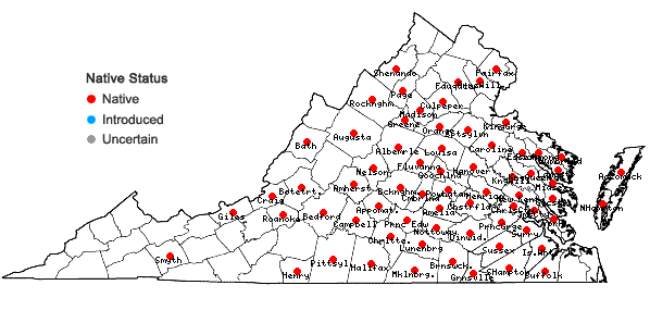 Locations ofAsclepias amplexicaulis J.E. Smith in Virginia