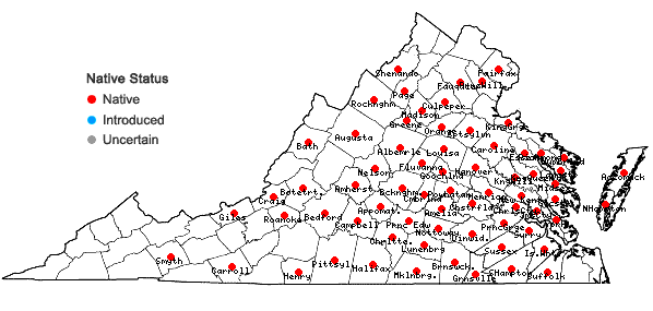 Locations ofAsclepias amplexicaulis J.E. Smith in Virginia