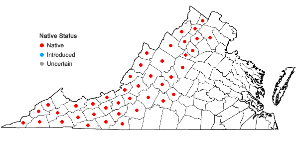 Locations ofAsclepias exaltata L. in Virginia
