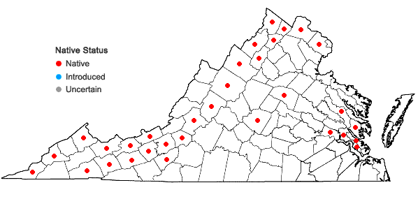 Locations ofAsclepias incarnata L. var. incarnata in Virginia