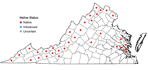 Locations ofAsclepias incarnata L. var. incarnata in Virginia