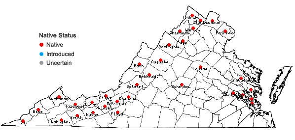 Locations ofAsclepias incarnata L. var. incarnata in Virginia