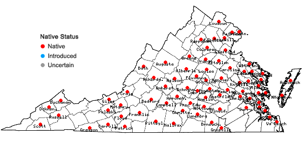 Locations ofAsclepias incarnata L. var. pulchra (Ehrh. ex Willd.) Pers. in Virginia