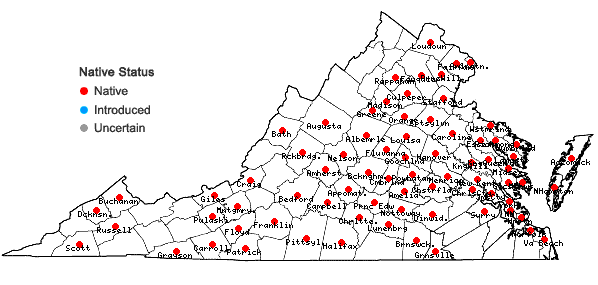 Locations ofAsclepias incarnata L. var. pulchra (Ehrh. ex Willd.) Pers. in Virginia