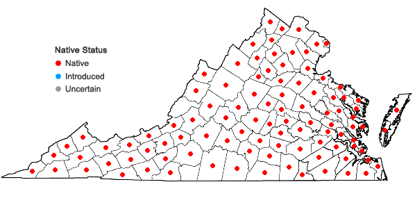 Locations ofAsclepias incarnata L. in Virginia