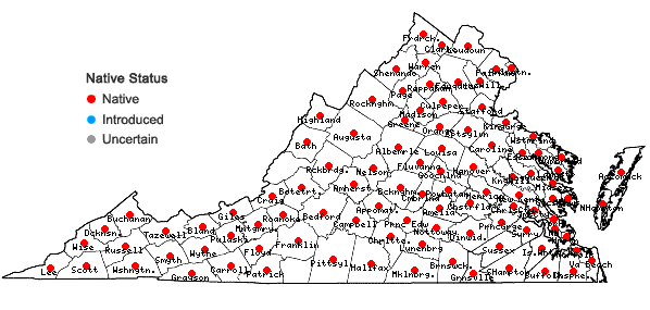 Locations ofAsclepias incarnata L. in Virginia