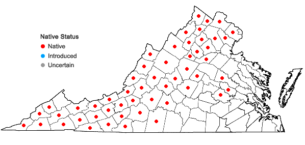Locations ofAsclepias quadrifolia Jacq. in Virginia