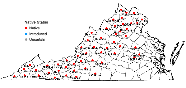 Locations ofAsclepias quadrifolia Jacq. in Virginia