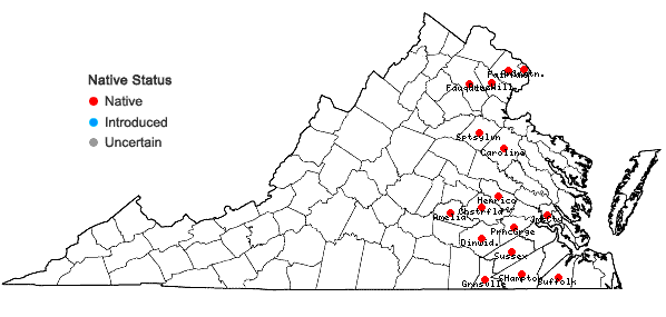 Locations ofAsclepias rubra L. in Virginia