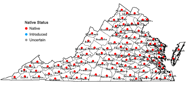 Locations ofAsclepias syriaca L. in Virginia