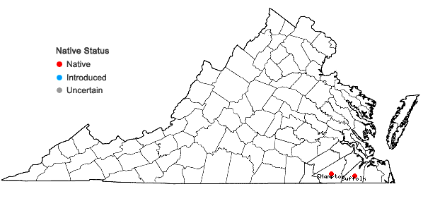 Locations ofAsclepias tuberosa L. var. rolfsii (Britt. ex Vail) Shinners in Virginia