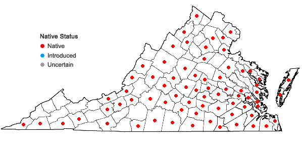 Locations ofAsclepias variegata L. in Virginia