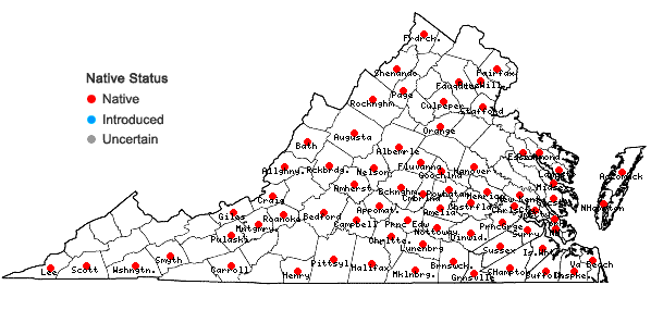Locations ofAsclepias variegata L. in Virginia