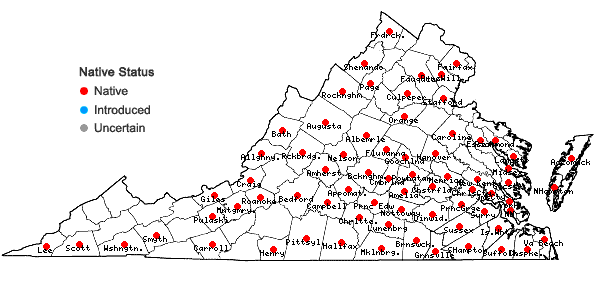 Locations ofAsclepias variegata L. in Virginia