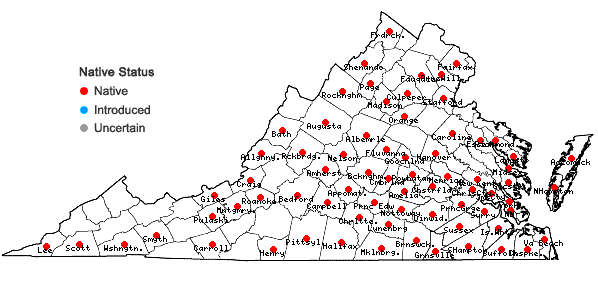 Locations ofAsclepias variegata L. in Virginia