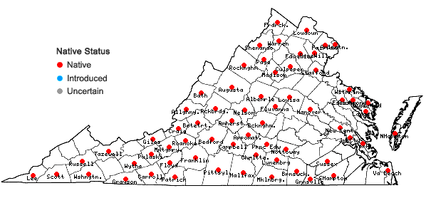 Locations ofAsclepias verticillata L. in Virginia