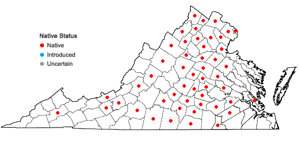 Locations ofAsclepias viridiflora Raf. in Virginia