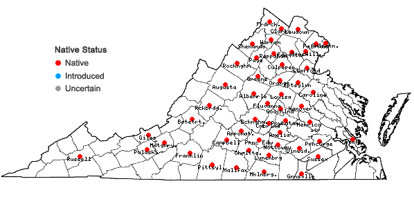 Locations ofAsclepias viridiflora Raf. in Virginia