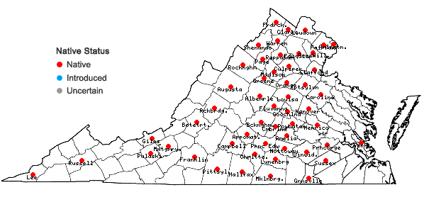 Locations ofAsclepias viridiflora Raf. in Virginia