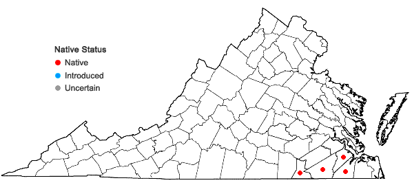 Locations ofAsimina parviflora (Michx.) Dunal in Virginia