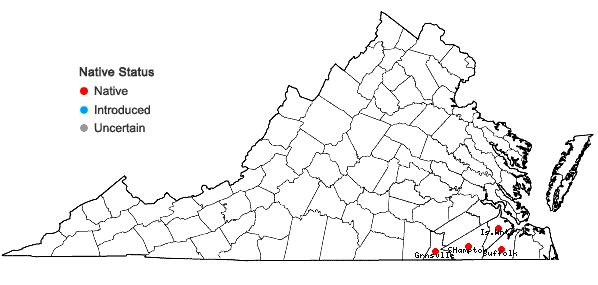 Locations ofAsimina parviflora (Michx.) Dunal in Virginia