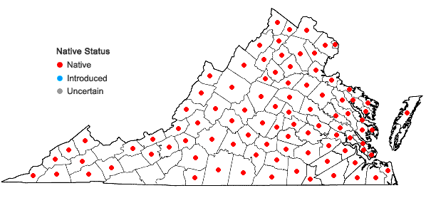 Locations ofAsimina triloba (L.) Dunal in Virginia