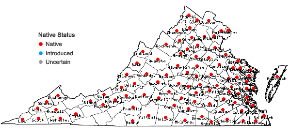 Locations ofAsimina triloba (L.) Dunal in Virginia