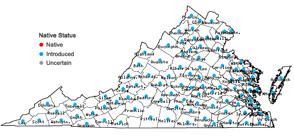 Locations ofAsparagus officinalis L. in Virginia