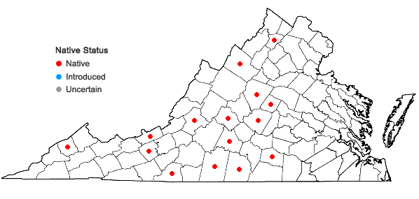 Locations ofAsplenium bradleyi D.C. Eaton in Virginia