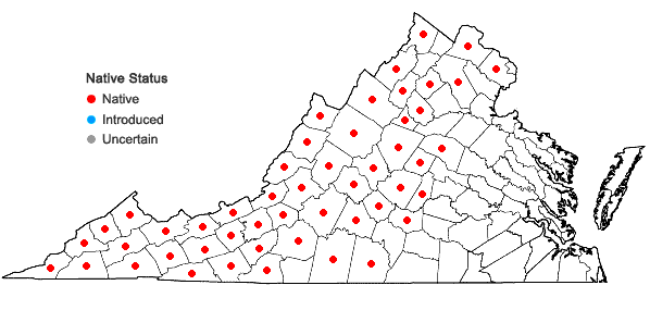 Locations ofAsplenium montanum Willd. in Virginia