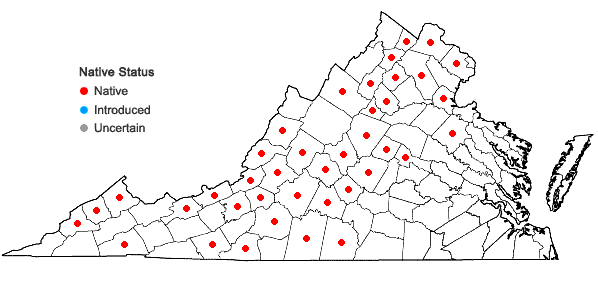 Locations ofAsplenium pinnatifidum Nuttall in Virginia