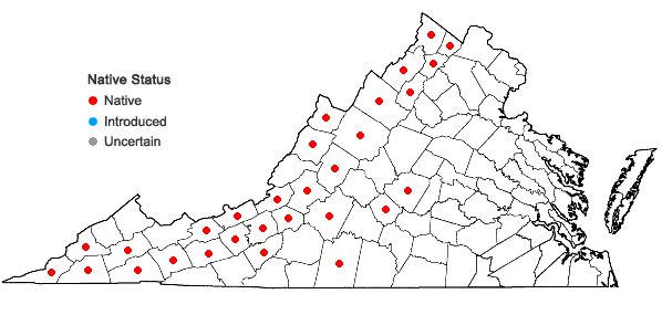 Locations ofAsplenium resiliens Kunze in Virginia