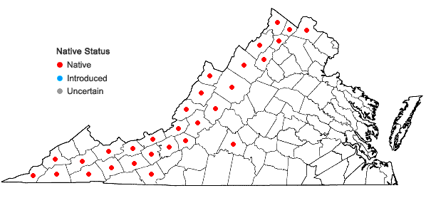 Locations ofAsplenium ruta-muraria L. var. cryptolepis (Fern.) Wherry in Virginia